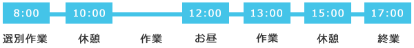 工場スタッフの一日